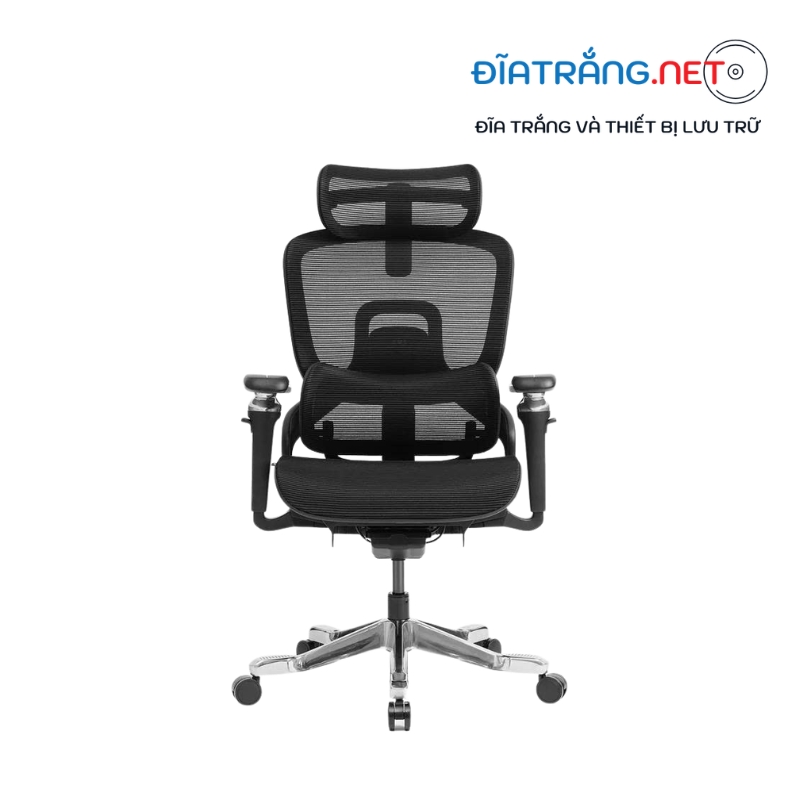 Ghế công thái học Hyperwork Flow OC05